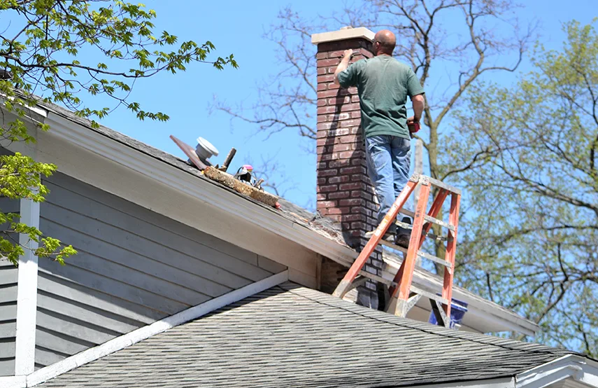 Chimney & Fireplace Inspections Services in Champaign, IL